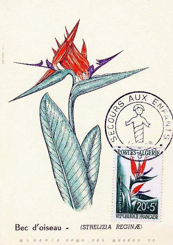TIMBRES 1 ER JOUR (73).jpg